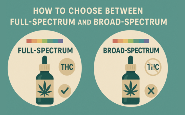 Full-Spectrum vs Broad-Spectrum CBD Oil Explained: Complete Guide to Making the Right Choice