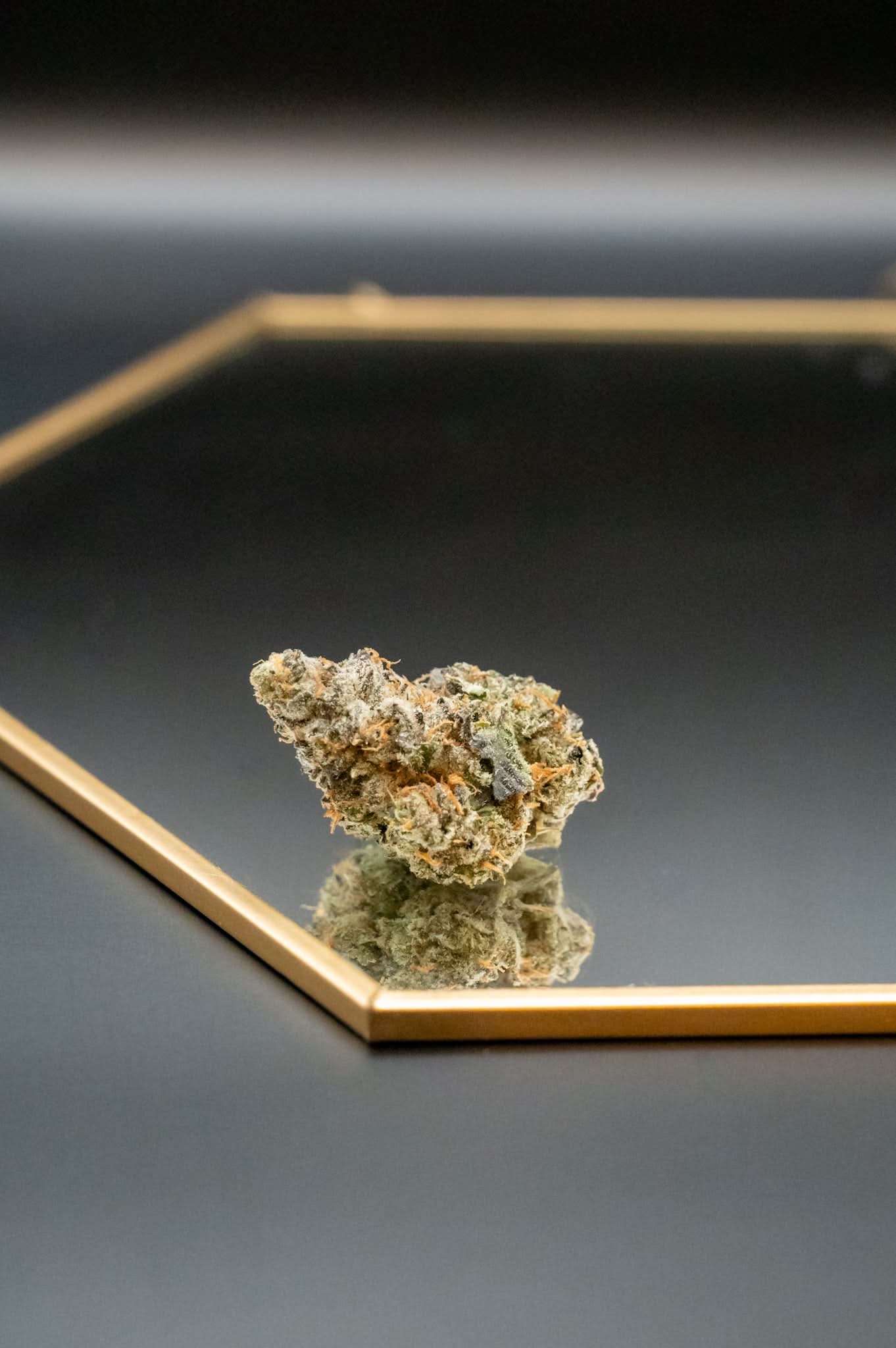 THCA cannabis buds on a reflective black surface with a gold rim