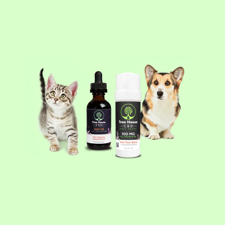 Can CBD Calm Anxious Pets? Use Cases & Tips for Pet Owners
