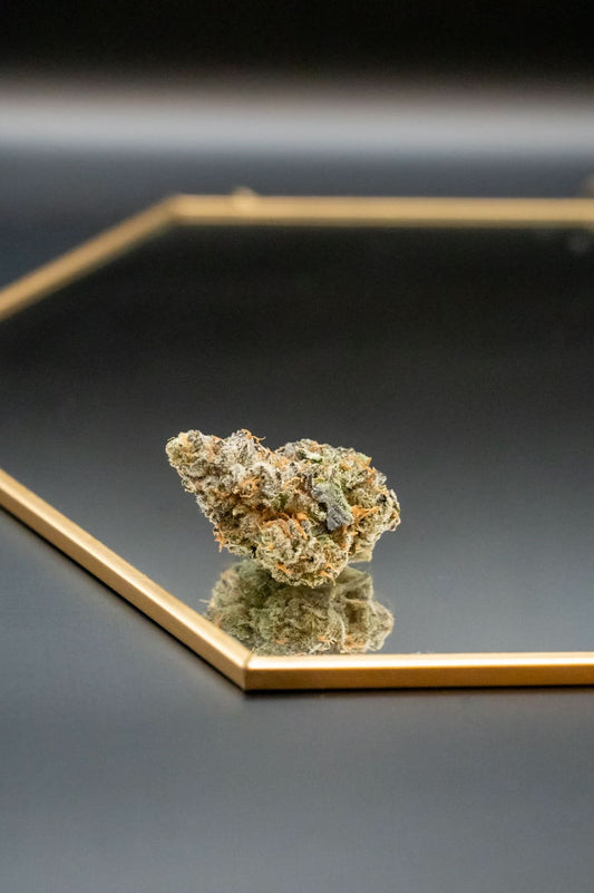 THCA cannabis buds on a reflective black surface with a gold rim